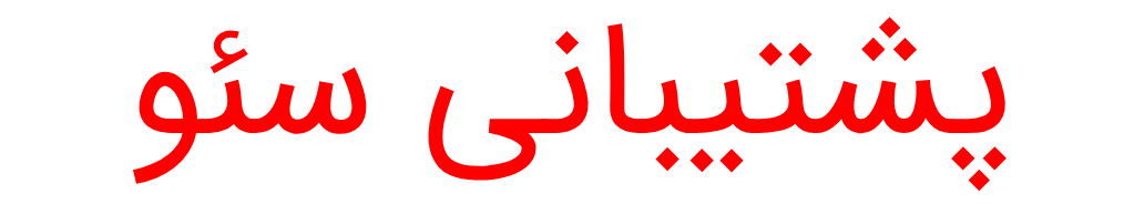 ارائه خدمات پشتیبانی سئو